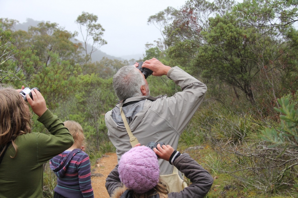 People looking through binoculars to identify wildlife