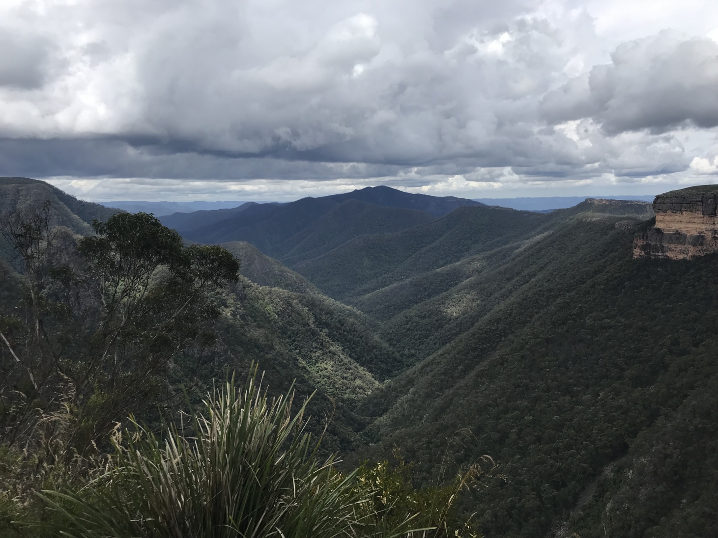 Mountains and native forests of Australia