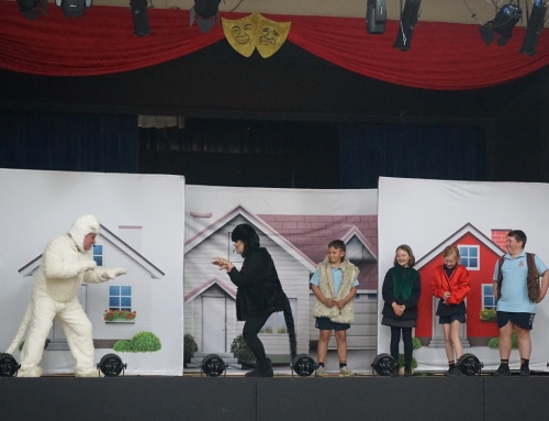 Arts and environmental theatre in Crookwell schools on National Threatened Species Day