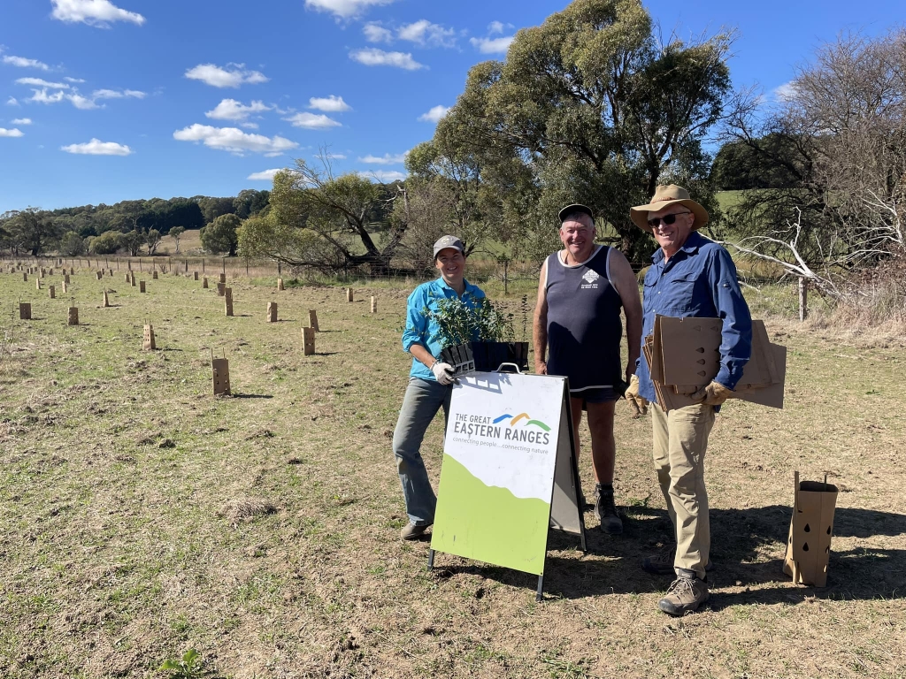 Three people standing in a paddock with rows of newly planted trees in the background. 